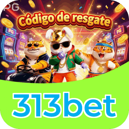 Suporte 313bet